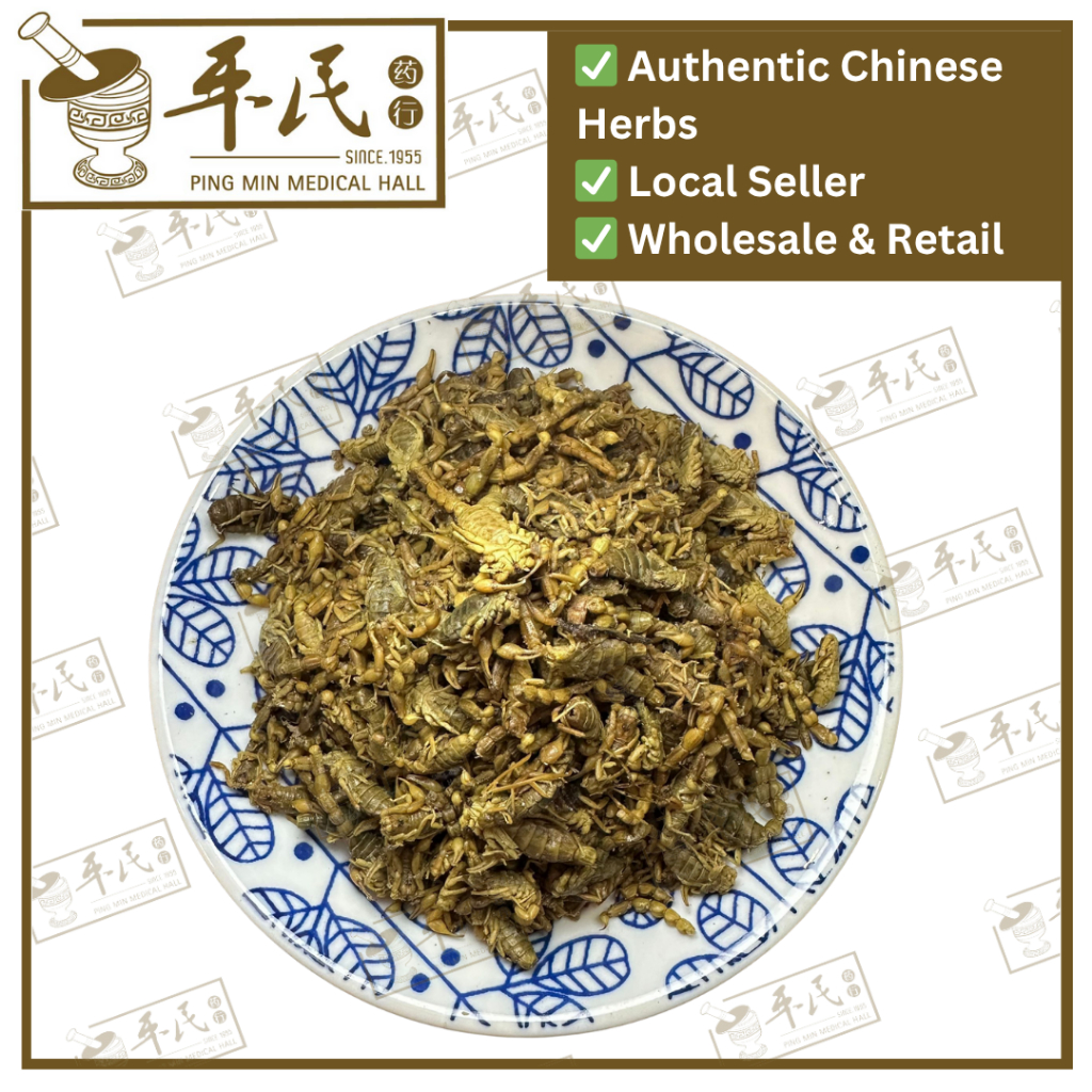 [HQX21] 全蝎.[[62-5]-1-02].草药.Quan Xie; HQX21